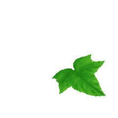 Иллюстрация без названия