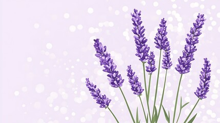 Naklejka premium Purple Lavender Blooms on a Light Background
