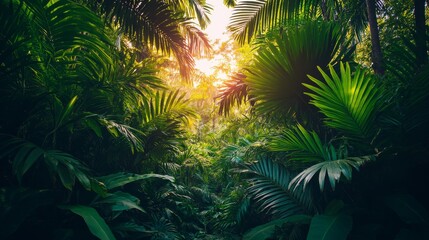 Dense tropical rainforest with lush greenery and exotic plants, creating a vibrant jungle landscape filled with rich biodiversity, misty atmosphere, and natural beauty.