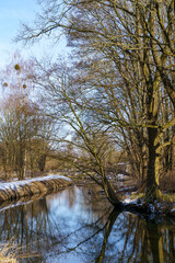 Serene Stream in Late Autumn or Early Winter Setting in Stangenhagen, Brandenburg