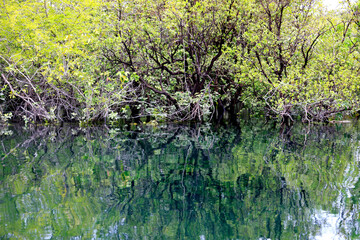The splendid water of Crater Azul near Flores, Guatemala