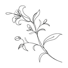 Elegant SingleLine Lily Flower Drawing Botanical Illustration Art