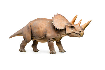 Fototapeta premium Dino triceratops isolated on white background