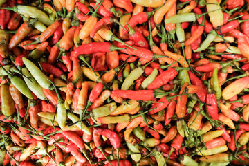  display of fresh red bird’s eye chilies (cabai rawit merah) in their raw state, showcasing their vibrant color and glossy texture