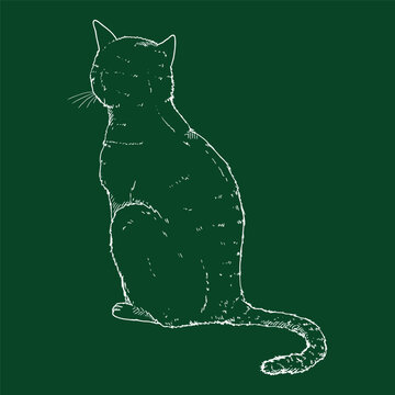 recommend clip art: Sitting Cat. Vector Sketch Feline Illustration. Back View.