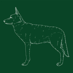 Vector Sketch Standing German Shepherd Dog Illustration