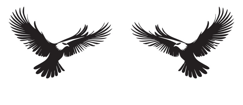 Flying American bird silouet in Monochrome Vector Art