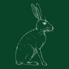 Vector Chalk Sketch Sitting Hare