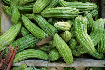 Fresh green bitter melon (pare) with a textured surface and firm skin, displayed in its raw state, showcasing natural freshness