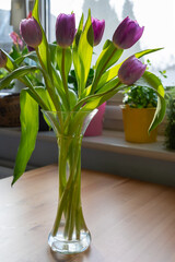 Beautiful bouquet of purple tulips illuminated by soft spring sunlight in a vase. Vertical orientation