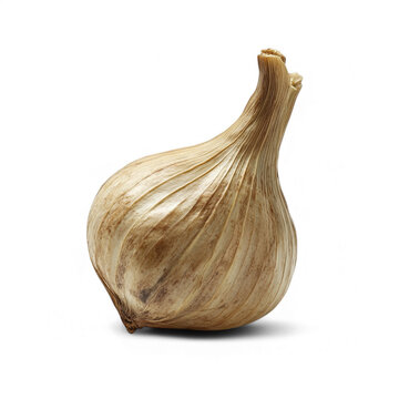 Single whole black garlic bulb isolated on transparent background