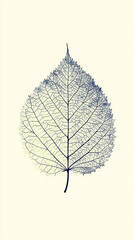 Delicate silhouette of a leaf showcasing intricate vein patterns against a soft, neutral background
