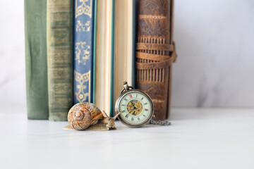 snail, retro pocket watch and old books on table, close up. Relax time, harmony of nature....