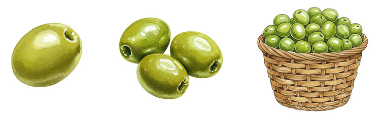Green olive fruit and basket illustrations, ripe details, watercolour style clipart collection