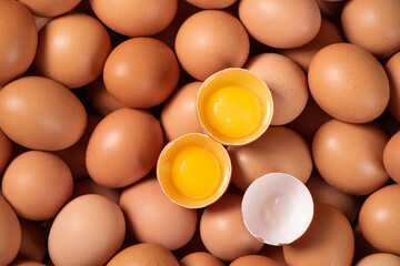 raw chicken eggs,Broken egg with yolk  background