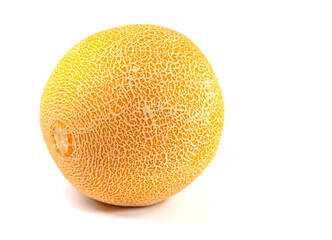 Cantaloupe-Melone, Cucumis melo, vor weißem Hintergrund