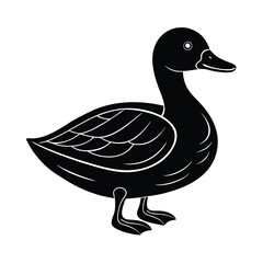 Duck Vector Illustration