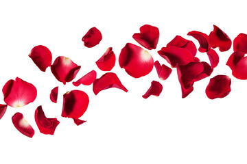 Red rose petals flying isolated on transparent white background