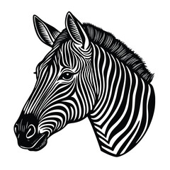 Zebra Vector Illustration