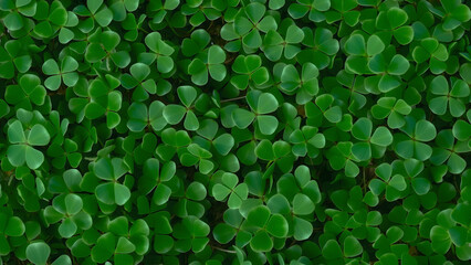 myths and symbolism of the four-leaf clover is endemic to Celtic traditions and may be seen transposed into the Celtic cross