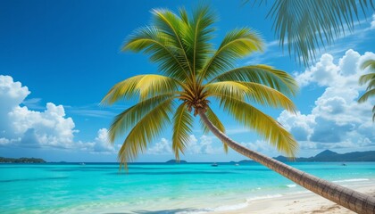 Stunning Tropical Beach Palm Tree Landscape