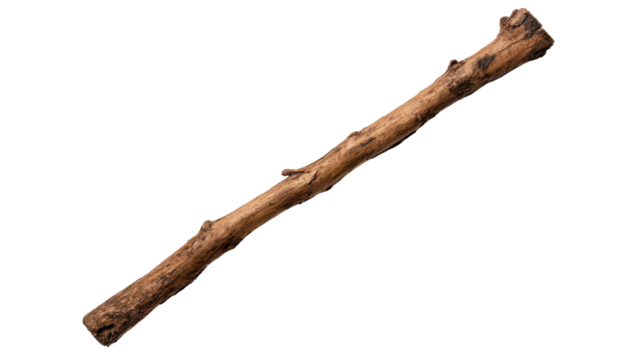 Natural wooden walking stick, handcrafted texture and rustic charm, ideal for hiking or rustic-themed decor, sturdy and functional. Isolated on white background or PNG
