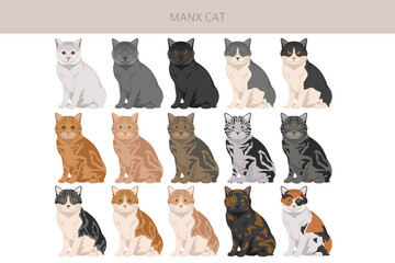 Manx Cat clipart. All coat colors set.  All cat breeds characteristics infographic. Vector illustration © a7880ss
