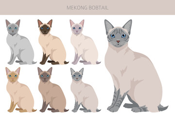 Mekong Bobtail Cat clipart. All coat colors set.  All cat breeds characteristics infographic. Vector illustration