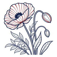 Elegant Poppy Flower Line Art Illustration: Detailed Vector Drawing of Blooming Poppy with Buds and Leaves for Graphic Design Projects