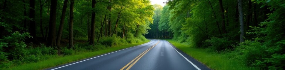 Fototapeta premium Single asphalt lane winding through dense forest, nature, lane, highway