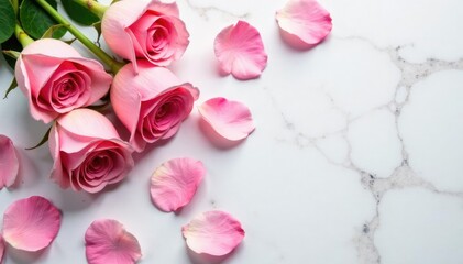 Delicate pink rose petals scattered on a marble base, white flowers,