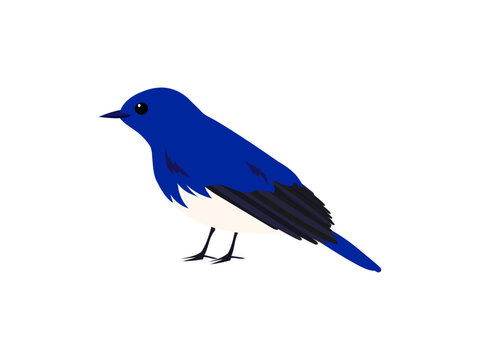 春夏渡り鳥十ニ選　野鳥　原画　水彩画　鳥　イラスト　メジロ　オオルリ　セキレイ他 春夏渡り鳥十ニ選 野鳥 原画 水彩画 鳥 イラスト メジロ