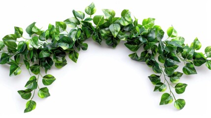 green ivy garland isolated