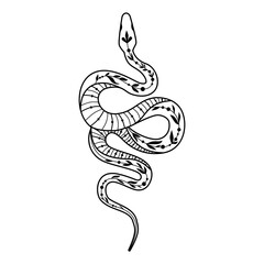 A stylized silhouette of a snake showing off its elegant curves in a playful doodle style design.