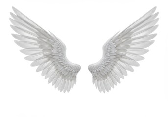 Naklejka premium A pair of detailed pure white feathered angel wings, isolated on a white background