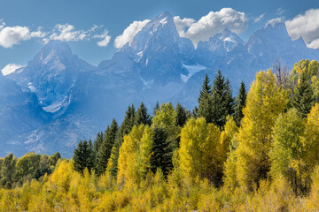 The Tetton mountain range and lush green trees