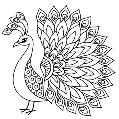 Peacock Coloring Page: Intricate Bird Design, Detailed Feathers, Printable Art for Adults & Kids, Mandala Style, Relaxation & Creativity