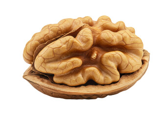 Isolated Half Walnut with Exposed Kernel