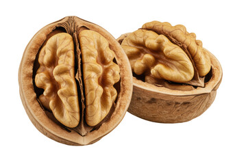 Isolated Two Halves of a Walnut with Kernel