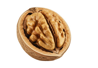 Isolated Walnut Cut in Half with Kernel Details