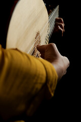 Hands of a woman playing the theorbo