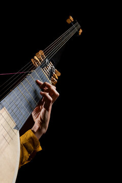 Hands of a woman playing the theorbo