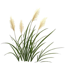 Fototapeta premium Beautiful Red Grass Plant, Generative AI