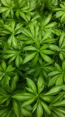 Lush Green Foliage Background Texture Vibrant Tropical Plant Leaves