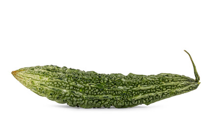 Close-up of a bumpy, fresh, green bitter melon. Isolated on a white background.