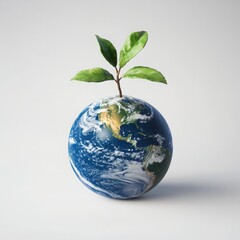 Earth with Seedling on White Background