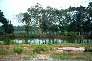 Village of Bangladesh. Nature beauty in rural place