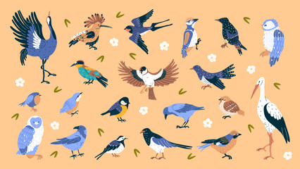 Set avian birds wildlife habitat