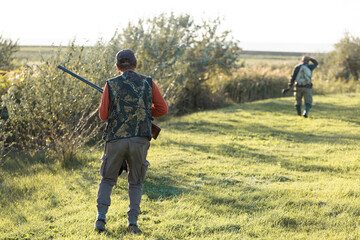 Mature hunter man holding a shotgun and walking through a field