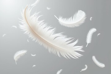 Fototapeta premium Gentle White Feathers Adrift in Soft Gray Background Creating a Serene, Ethereal Atmosphere of Tranquility and Lightness